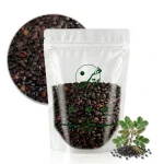 خرید گیاه چشوم