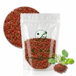 خرید تخم تربچه