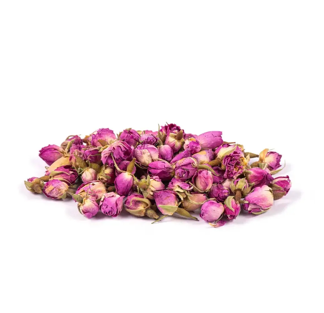 غنچه گل محمدی