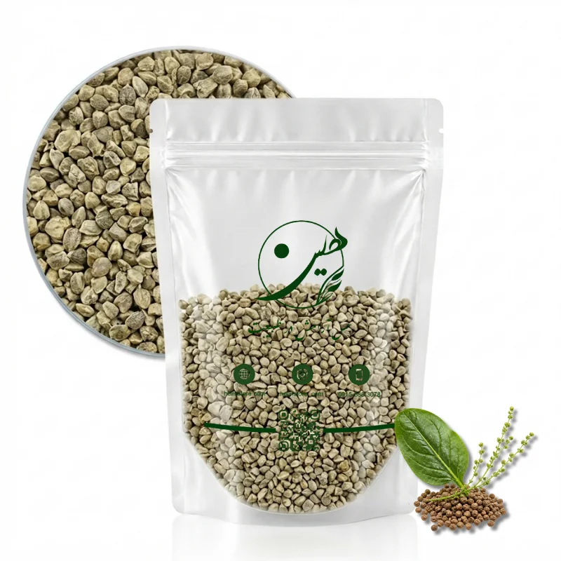 spinach-seed0 خرید تخم اسفناج