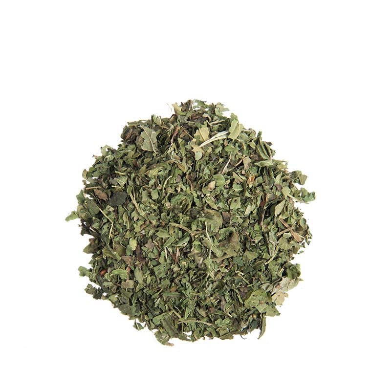 urtica-tea دمنوش گزنه