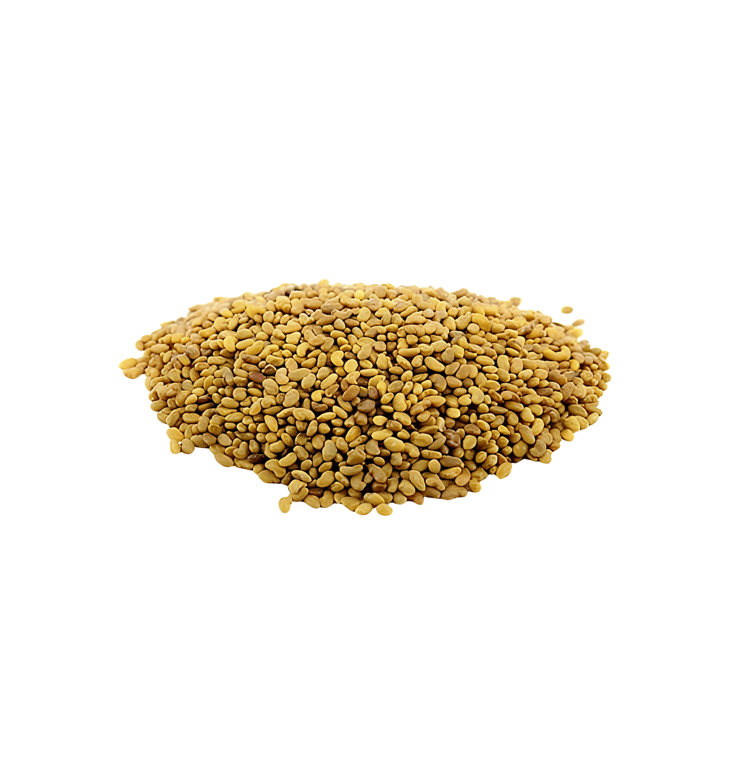 alfalfa-seed.png alfalfa seed