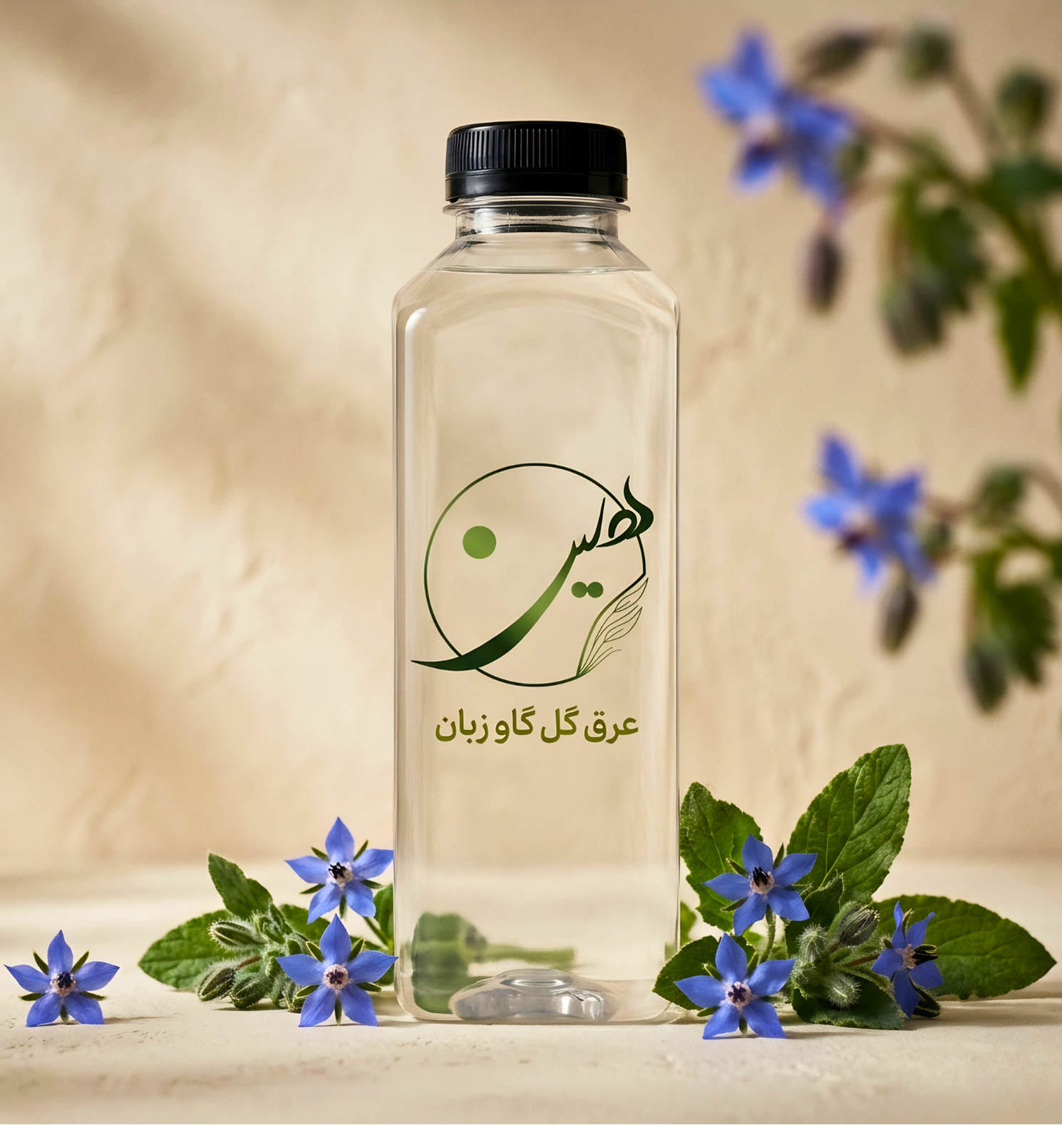 echium-extract.png echium