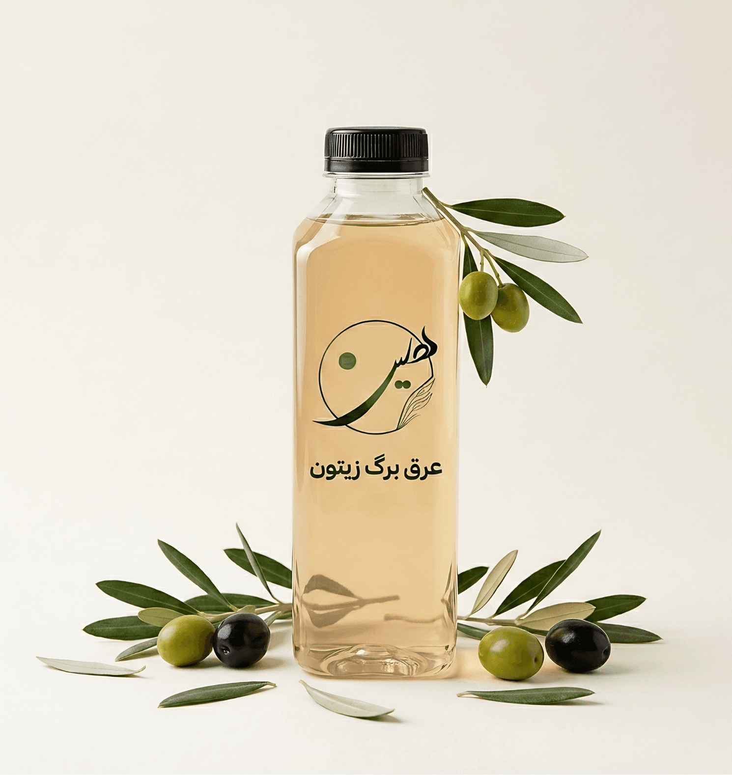 olive-leaf-extract.png olive leaf