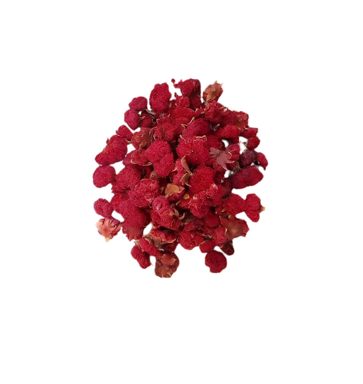 persian-golnar.png persian golnar