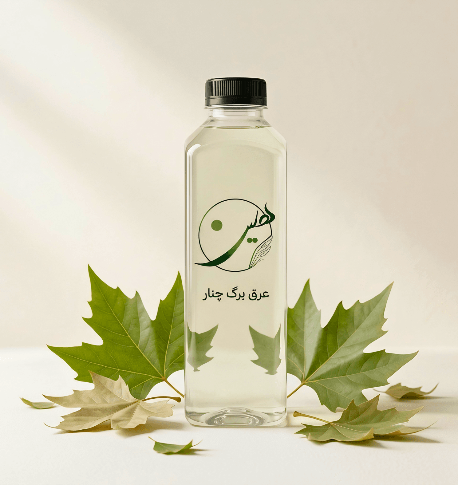 plane-leaf-extract.png plane leaf