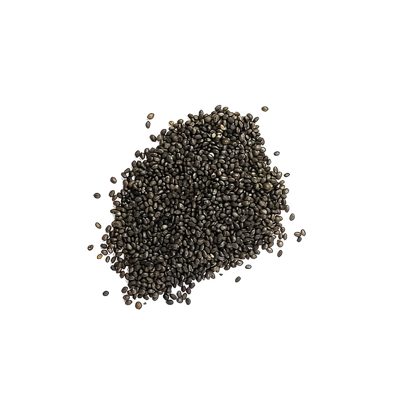 summer savory seed