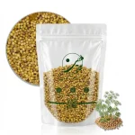 خرید تخم گشنیز