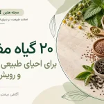 ۲۰ گیاه مفید برای مو؛ از کمک به رشد و کاهش ریزش تا کنترل چربی و خشکی