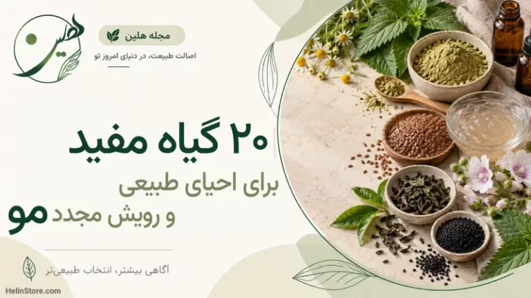 ۲۰ گیاه مفید برای مو؛ از کمک به رشد و کاهش ریزش تا کنترل چربی و خشکی