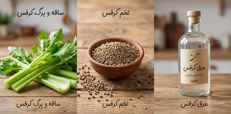 تفاوت ساقه کرفس، تخم کرفس و عرق کرفس